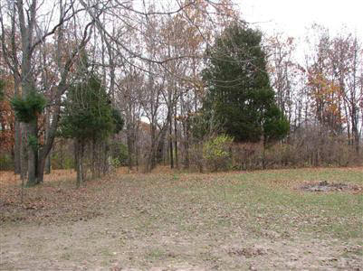 9380 Runyan Lake Road Fenton, MI 48430 - Photo 4 of 9 20215671-3.JPG