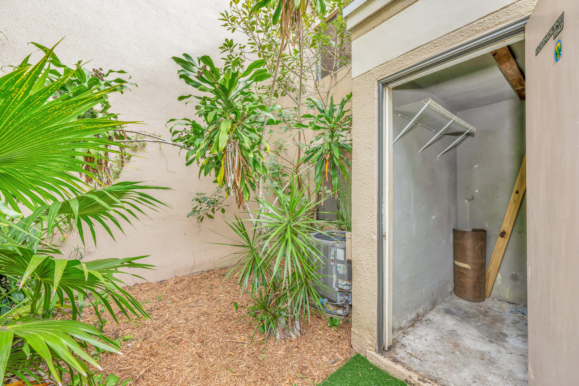 1169 Northwest 13th Street, Unit 1 Boca Raton, FL 33486 - Photo 17 of 20 a view of a potted plant in front of a door
