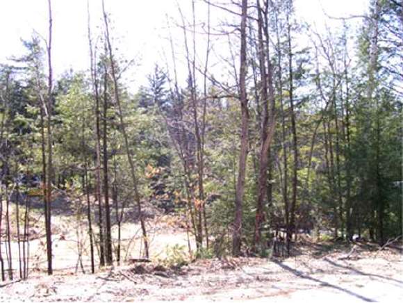 Lot 2 Pinnacle Hill Road Campton, NH 03223 - Photo 1 of 6 Gallery Image 1