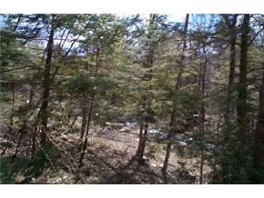 Lot 2 Pinnacle Hill Road Campton, NH 03223 - Photo 4 of 6 Gallery Image 4