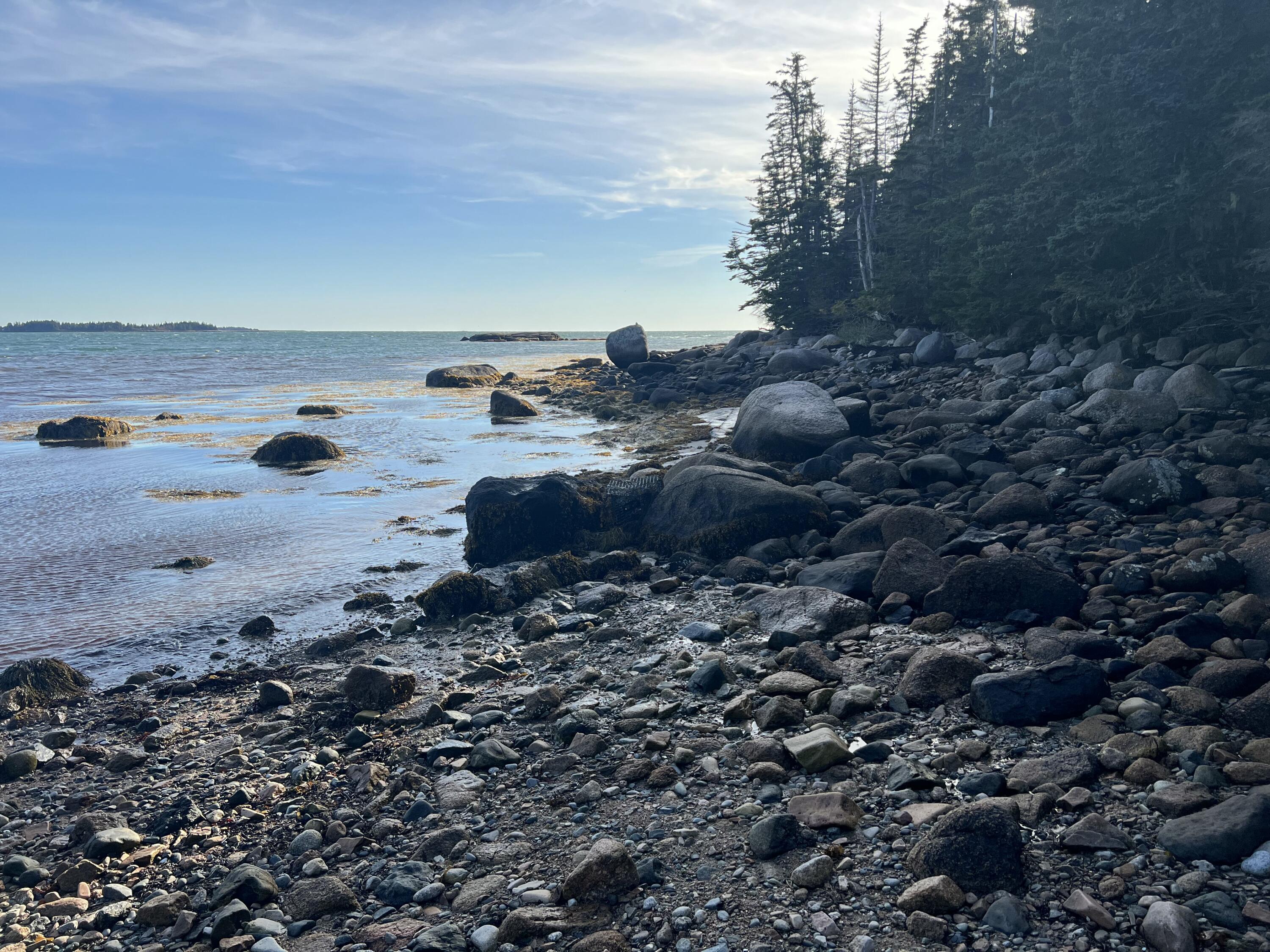 Lot 2 Seaduck Road Beals, ME 04611 - Photo 13 of 28 IMG_6371