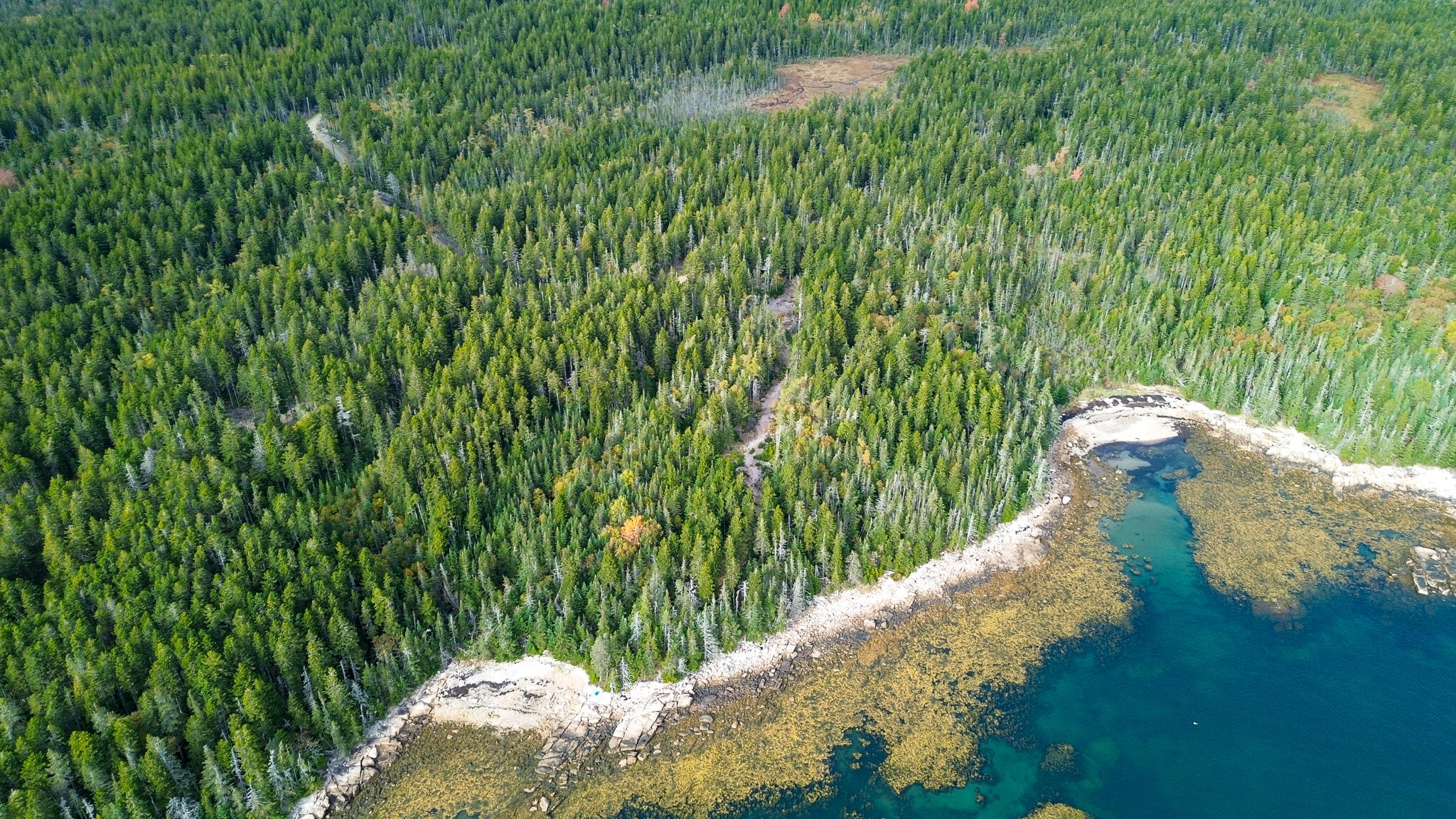 Lot 2 Seaduck Road Beals, ME 04611 - Photo 25 of 28 18