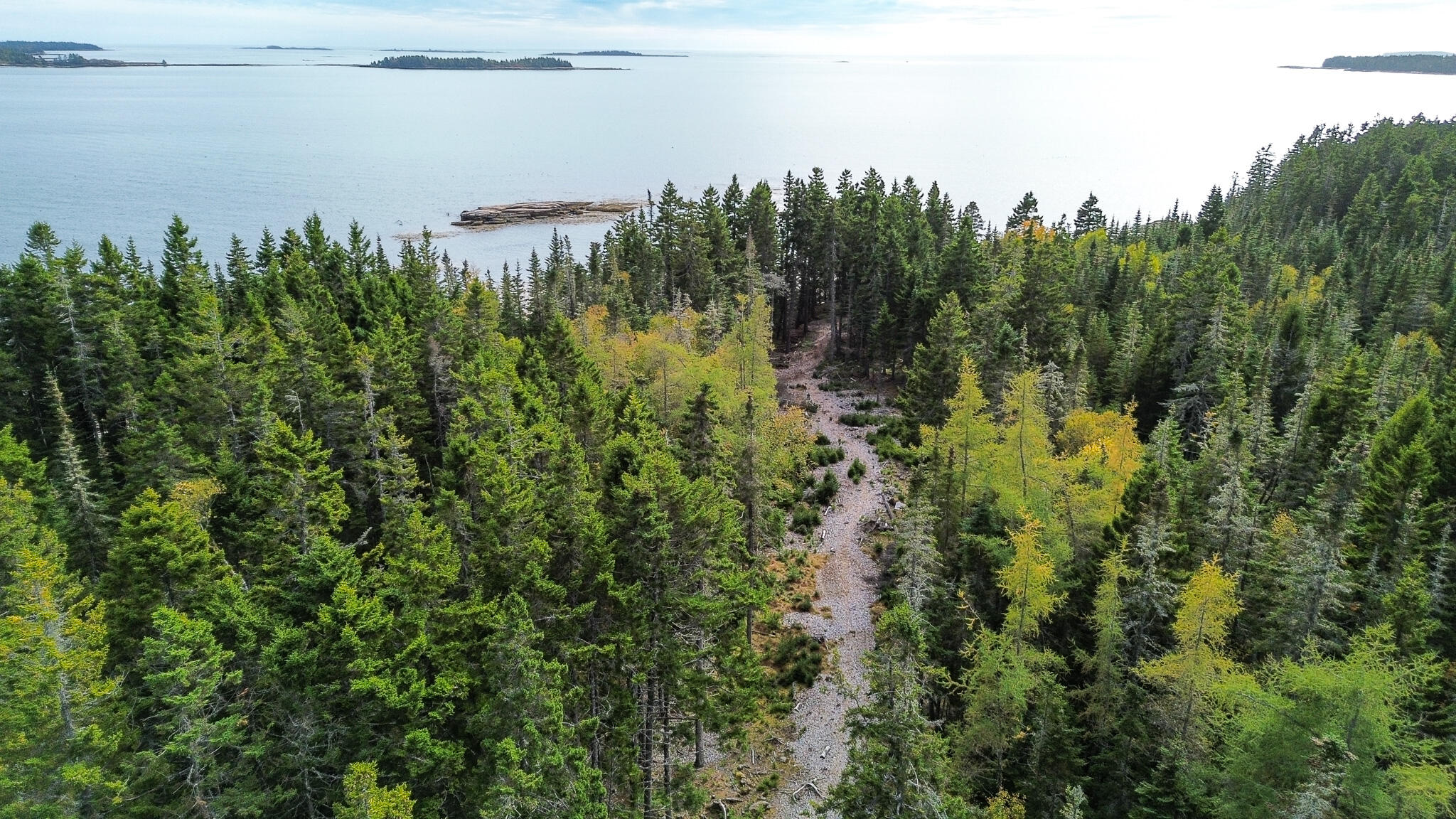 Lot 2 Seaduck Road Beals, ME 04611 - Photo 5 of 28 16