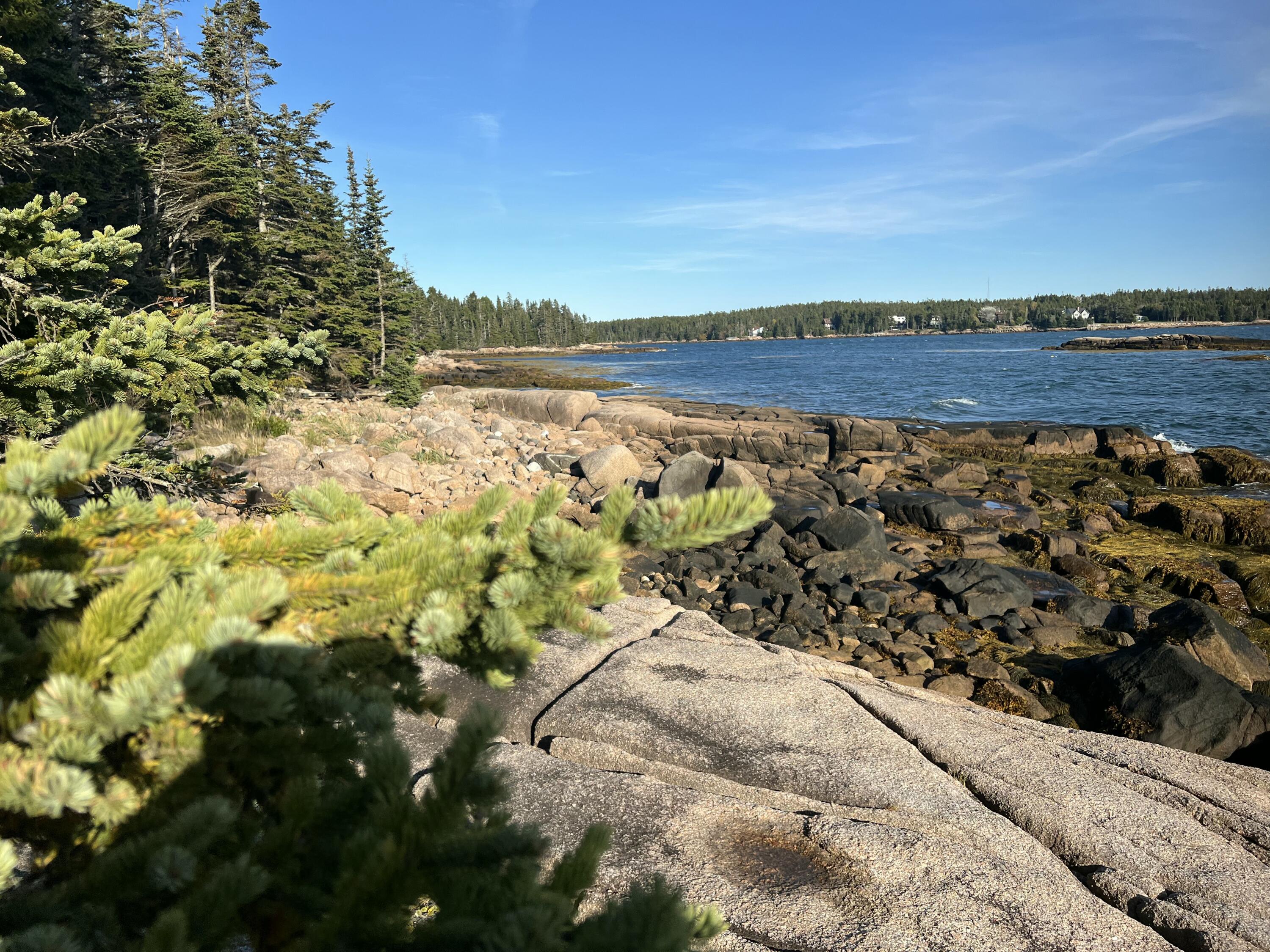 Lot 2 Seaduck Road Beals, ME 04611 - Photo 9 of 28 IMG_6377