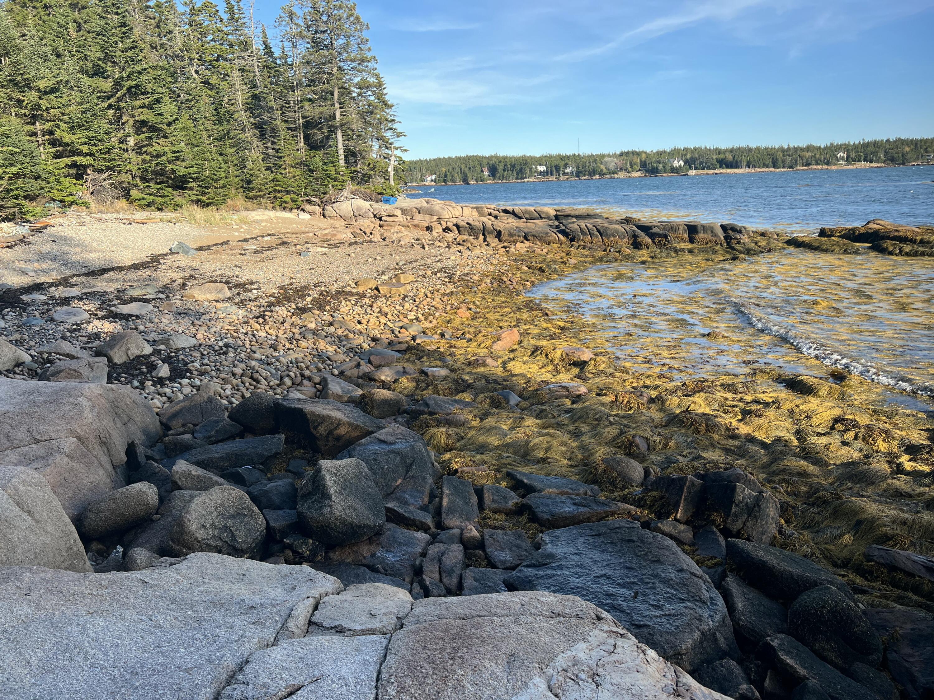 Lot 2 Seaduck Road Beals, ME 04611 - Photo 10 of 28 IMG_6375