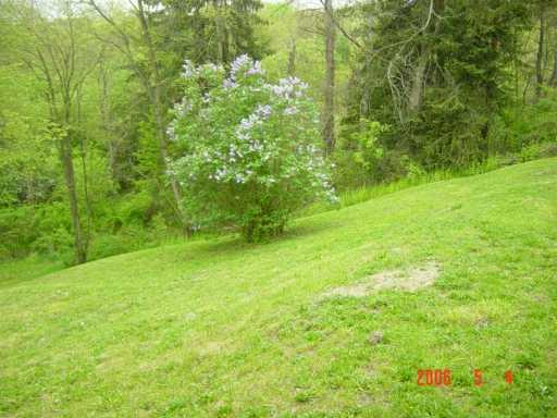 10 Reed Street McDonald, PA 15057 - Photo 7 of 7 Other.