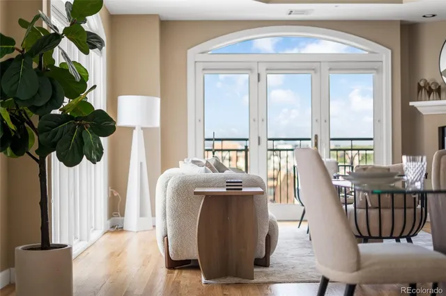 a living room with furniture a potted plant and a large window