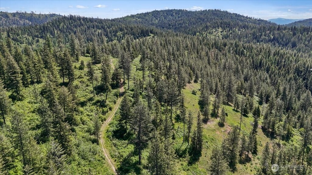 18-xxx East Miner Road Mead, WA 99021 - Photo 10 of 40 a view of a forest with a mountain in the background