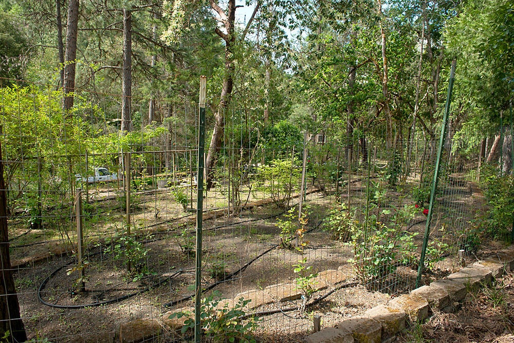 3033 Granite Hill Road Grants Pass, OR 97526 - Photo 30 of 31 Garden