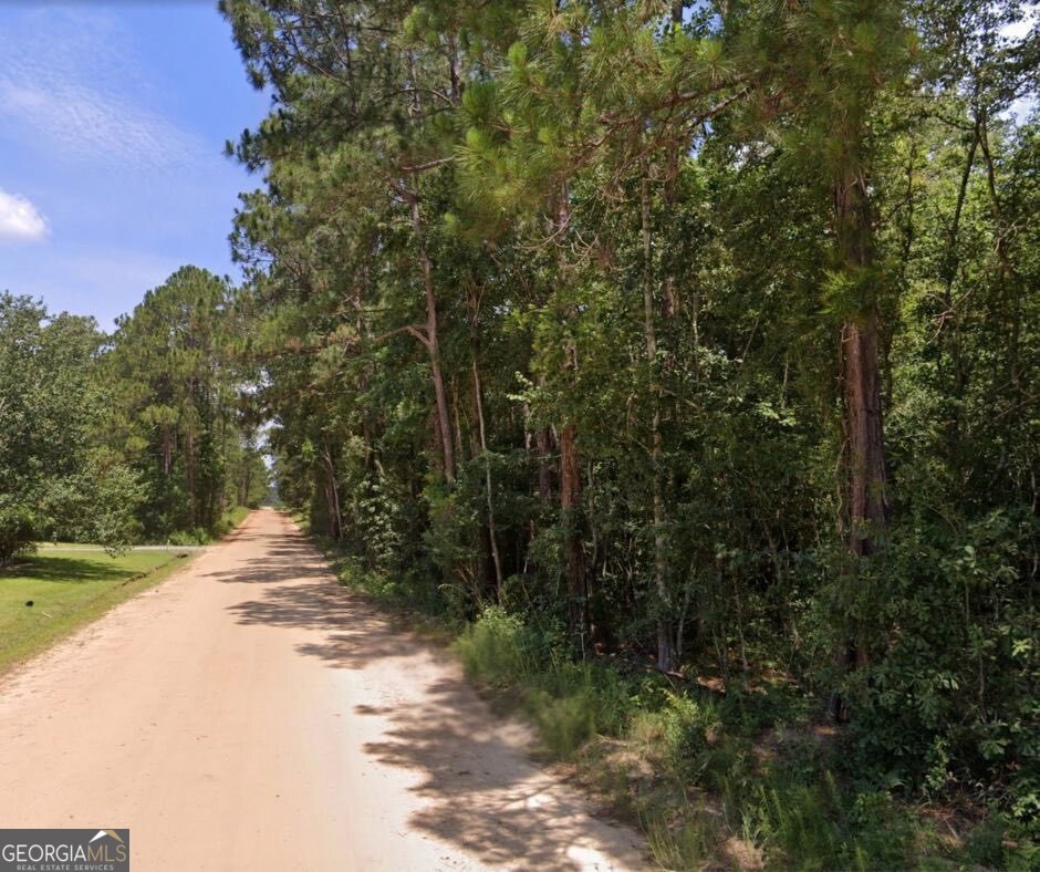 6.80-ac Scarlet Road Lyons, GA 30436 - Photo 2 of 8 a view of a road with trees