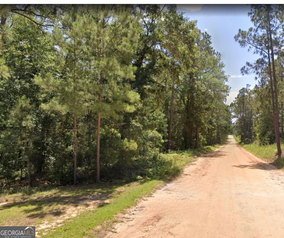 6.80-ac Scarlet Road Lyons, GA 30436 - Photo 3 of 8 a view of a tree with a yard