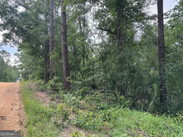 a view of a lush green forest