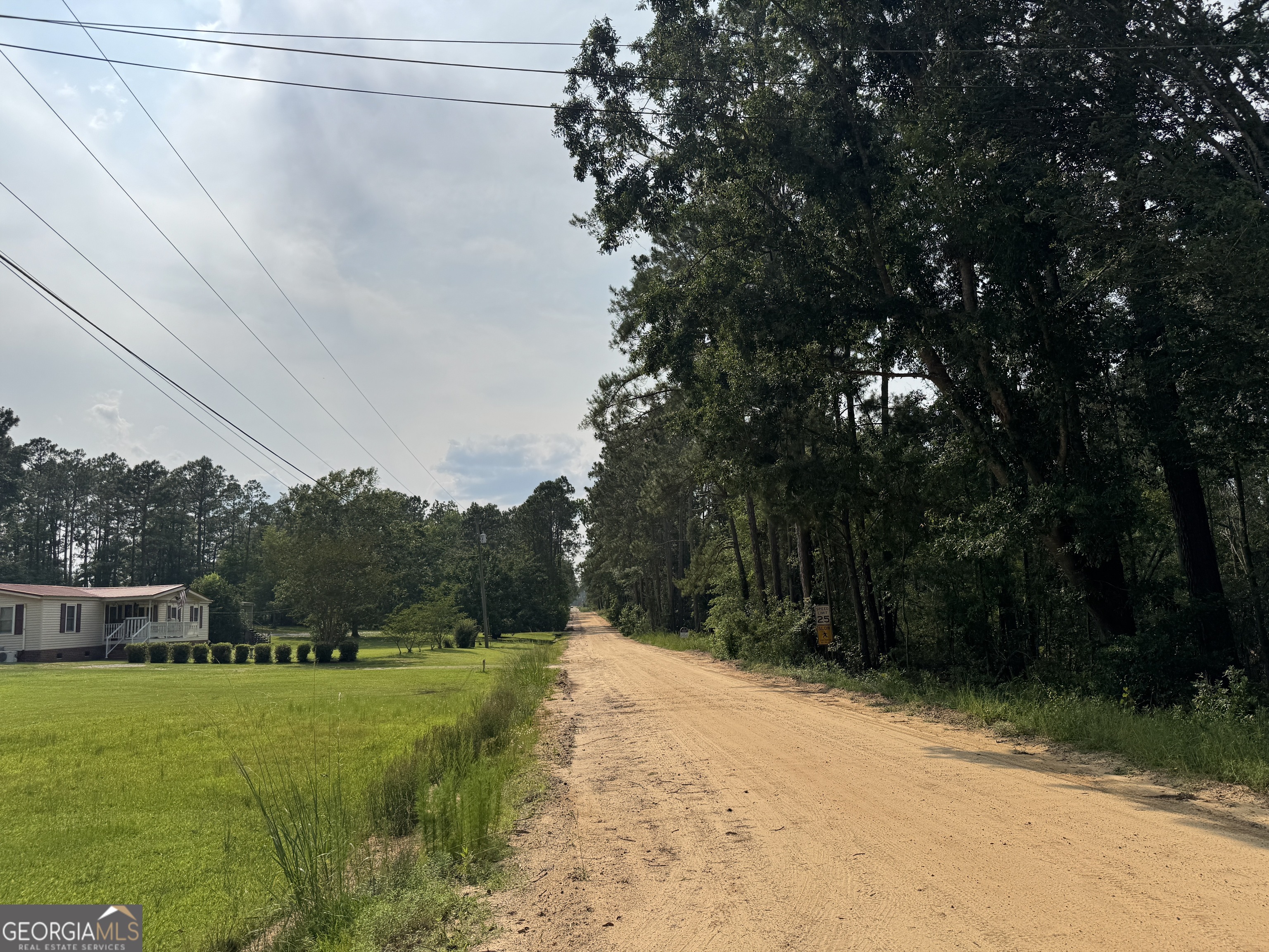 6.80-ac Scarlet Road Lyons, GA 30436 - Photo 7 of 8 a view of a backyard
