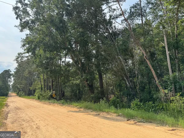 $59,900 | 6.80-ac Scarlet Road, Lyons, GA 30436