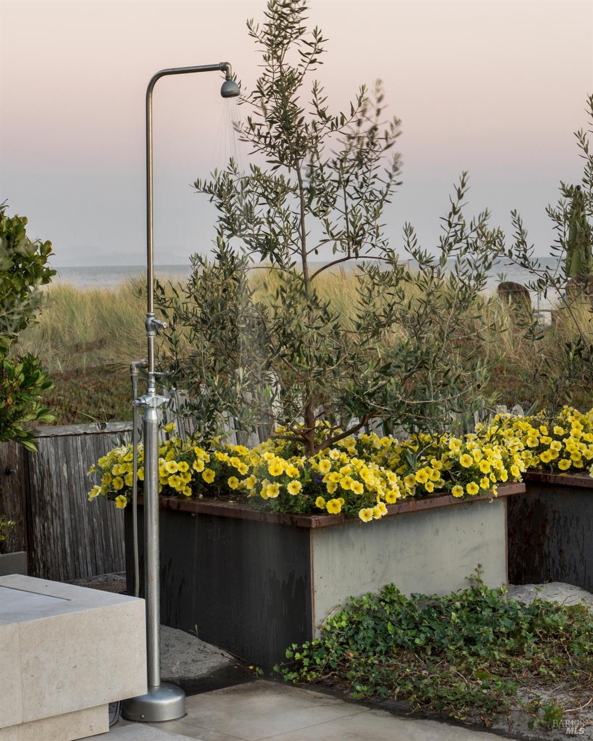 250 Seadrift Road Stinson Beach, CA 94970 - Photo 17 of 19