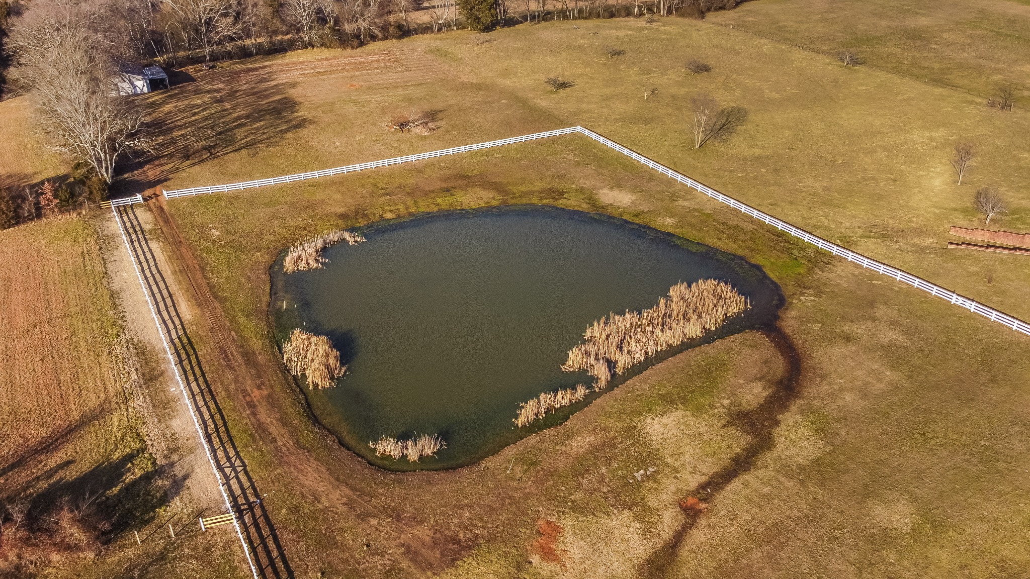 331 Normandy Road Wartrace, TN 37183 - Photo 31 of 41 Gallery Image 31