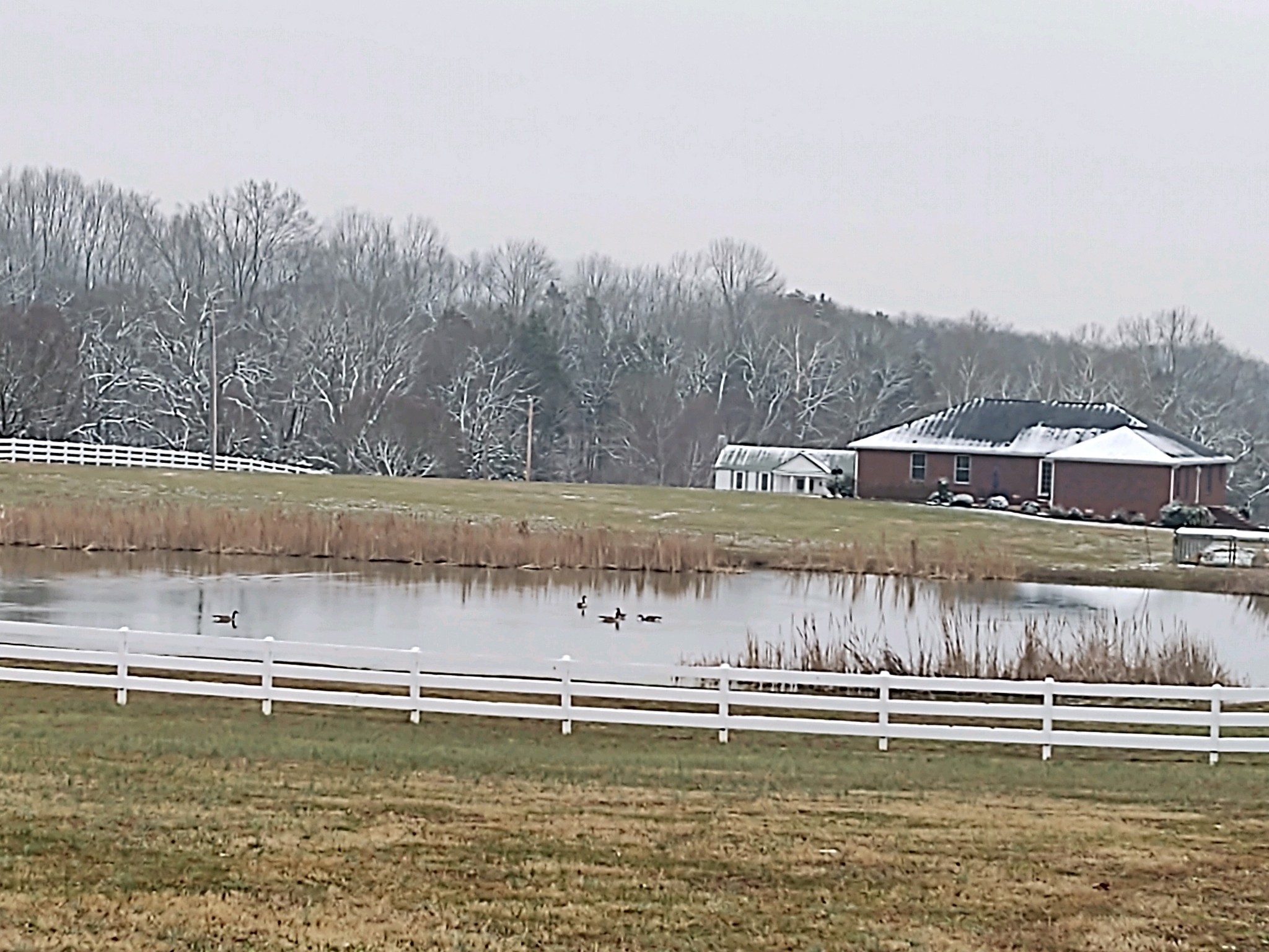 331 Normandy Road Wartrace, TN 37183 - Photo 40 of 41 Gallery Image 40