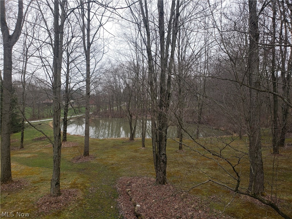 12425 Whitman Road Doylestown, OH 44230 - Photo 23 of 23 Gallery Image 23