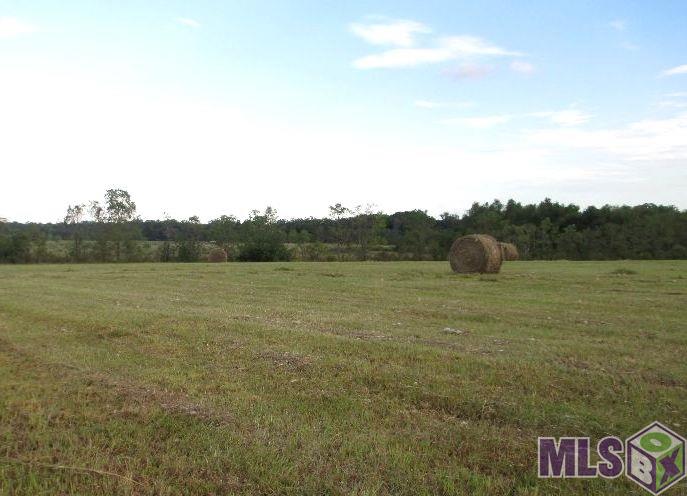 22250 Hoo Shoo Too Road Baton Rouge, LA 70817 - Photo 1 of 1