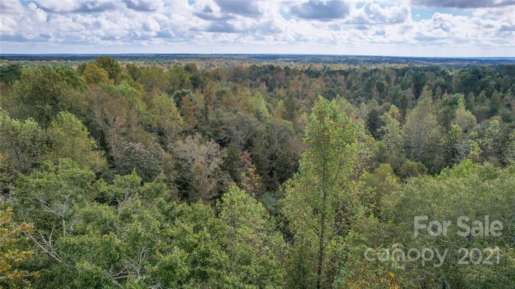 1185 Baker Road Jefferson, SC 29718 - Photo 28 of 29 Gallery Image 28