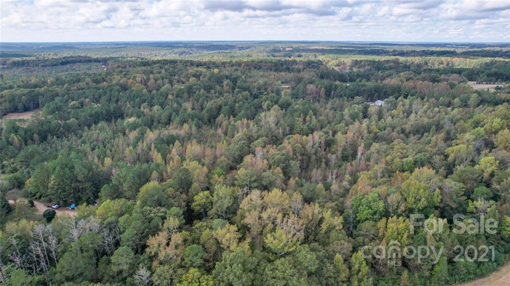 1185 Baker Road Jefferson, SC 29718 - Photo 9 of 29 Gallery Image 9