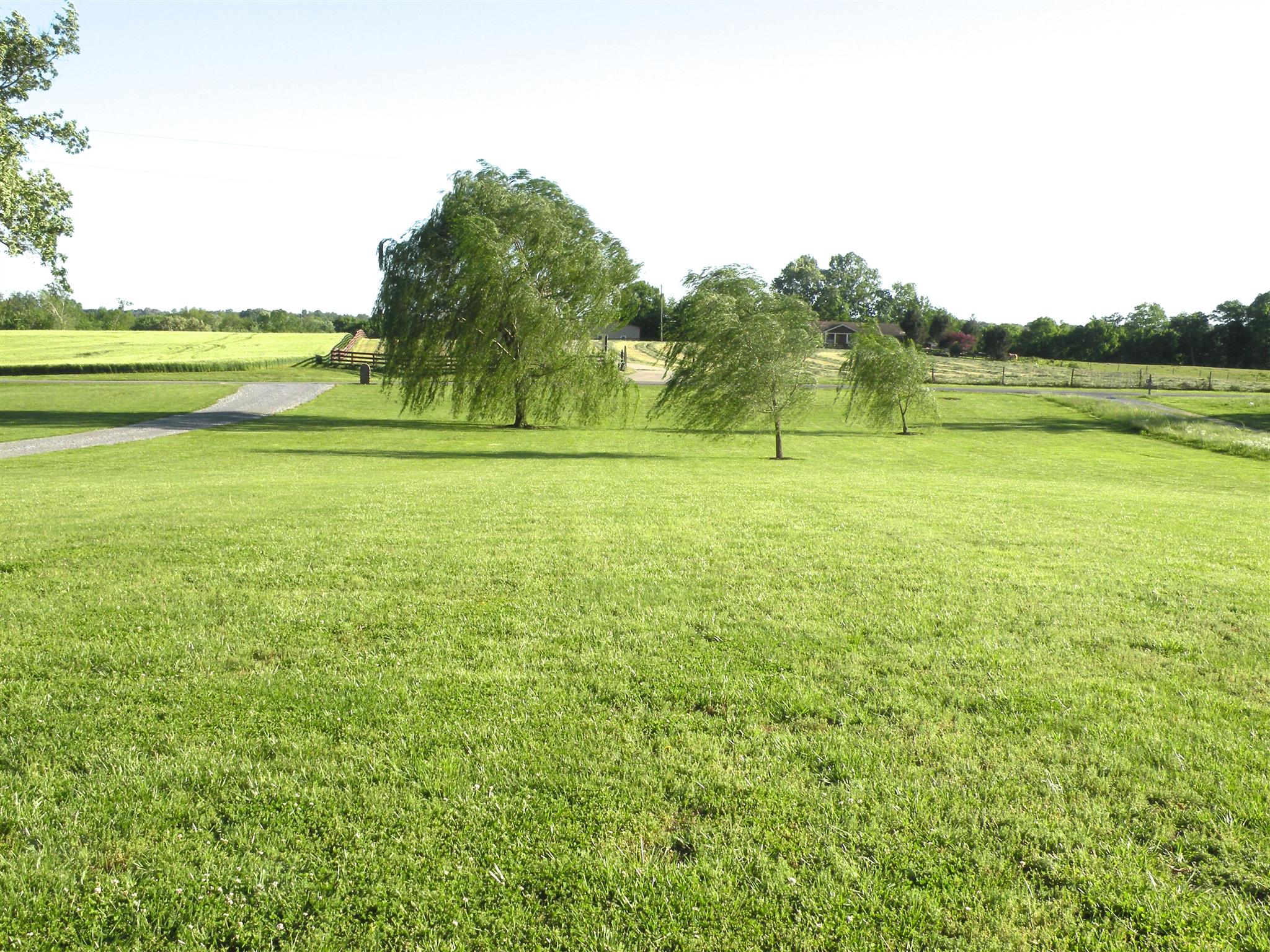 4006 North Pinson Road Portland, TN 37148 - Photo 3 of 28 Gallery Image 3