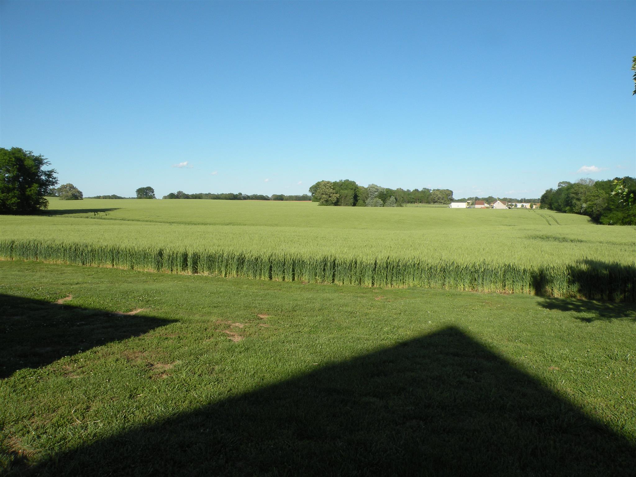 4006 North Pinson Road Portland, TN 37148 - Photo 5 of 28 Gallery Image 5