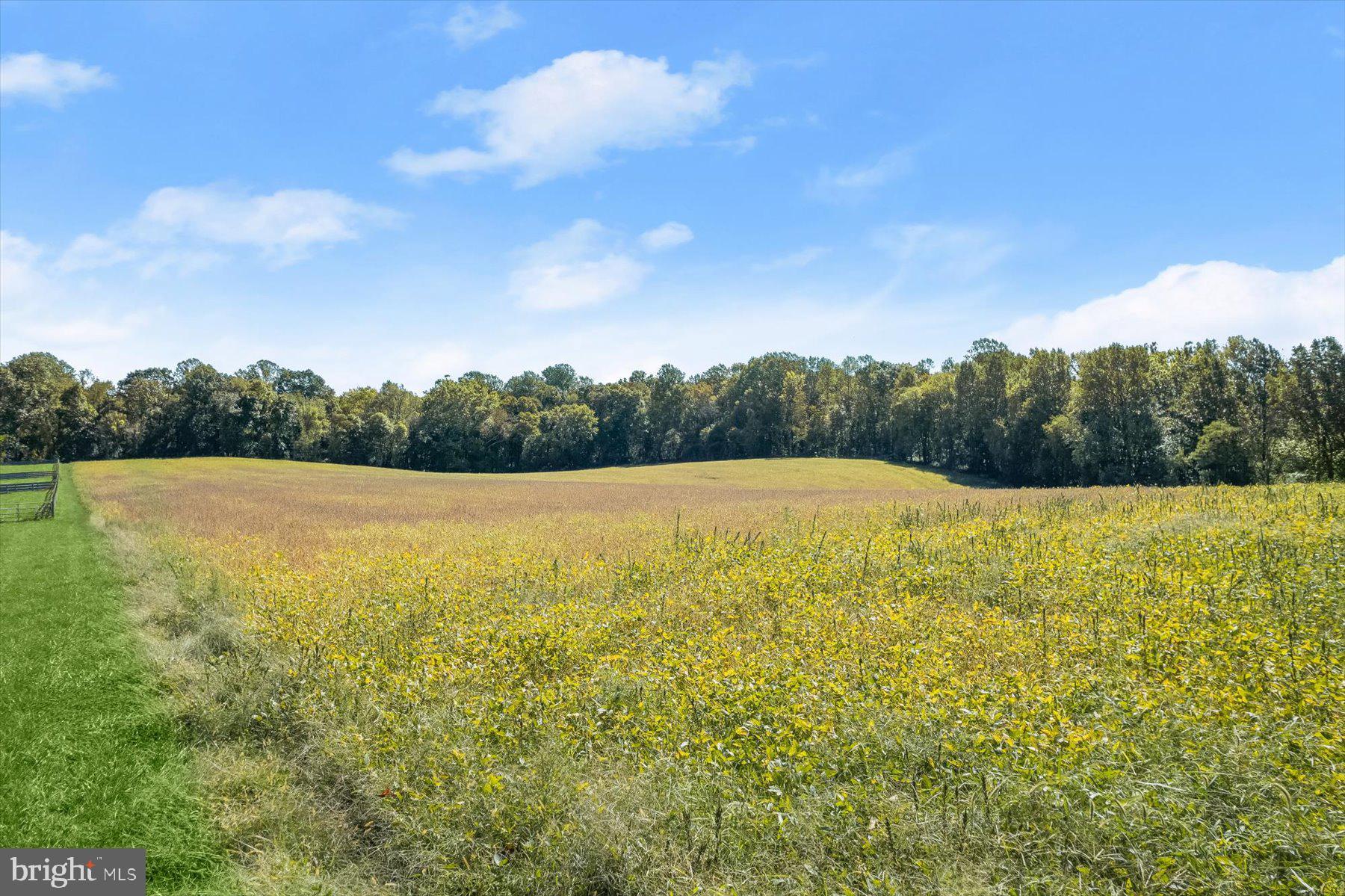 Annapolis Rock Road Woodbine, MD 21797 - Photo 11 of 22 Ground View