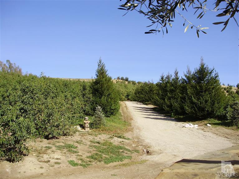 8002 Balcom Canyon Road Somis, CA 93066 - Photo 1 of 6 Primary Photo