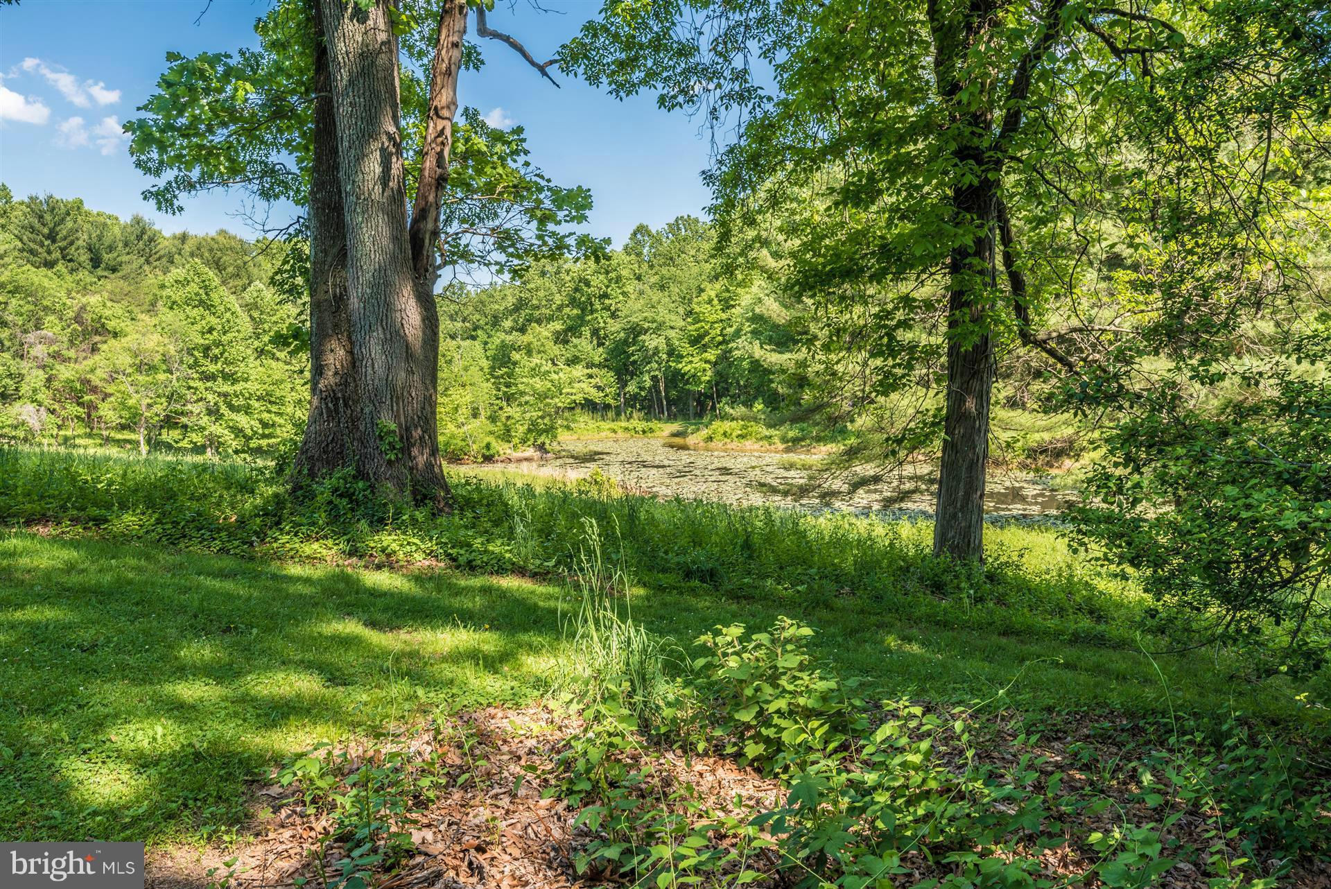 1626 Maydale Drive Silver Spring, MD 20905 - Photo 26 of 26 Backs to Maydale Park