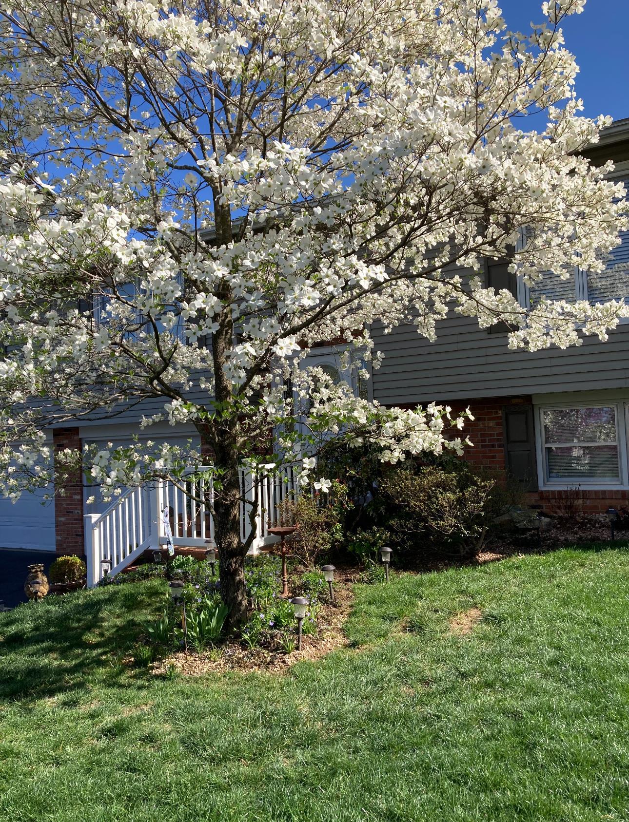 96 Cold Springs Road Stuarts Draft, VA 24477 - Photo 38 of 68 Gallery Image 38