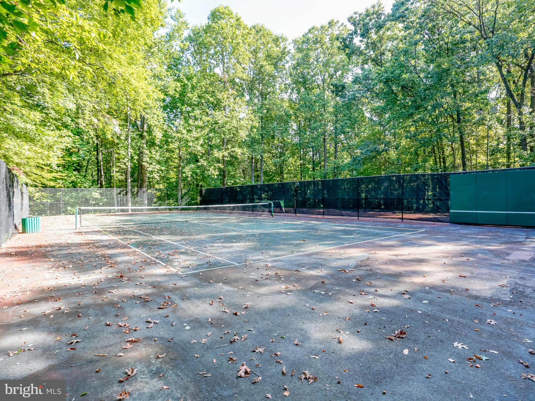 8110 Colony Point Road, Unit 215 Springfield, VA 22152 - Photo 26 of 27 Community