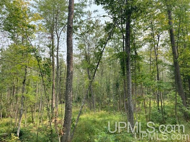 Tbd Old Mill Road Toivola, MI 49965 - Photo 24 of 25 Gallery Image 24
