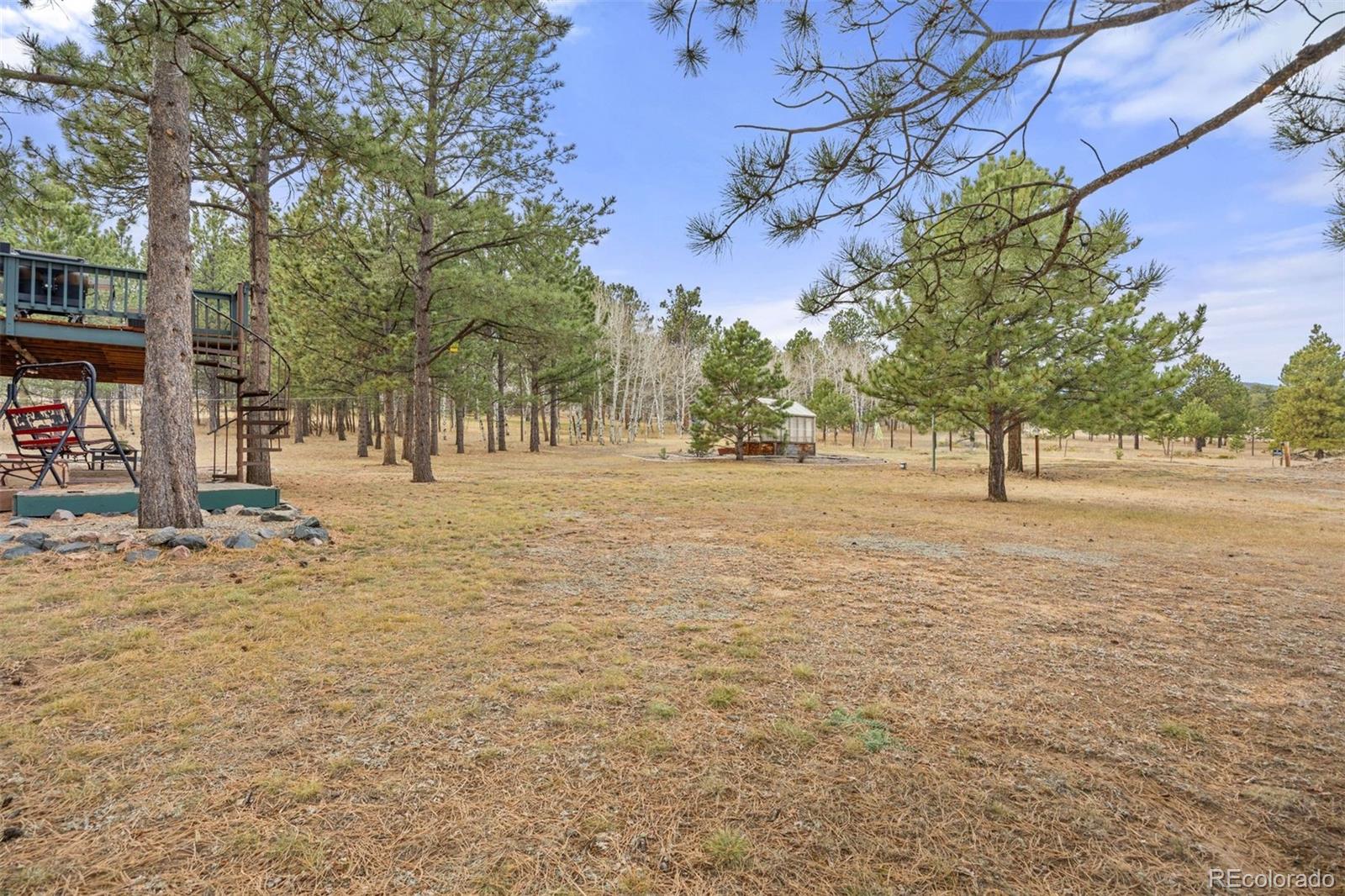 1768 Bluebird Drive Bailey, CO 80421 - Photo 36 of 50 a view of outdoor space with trees