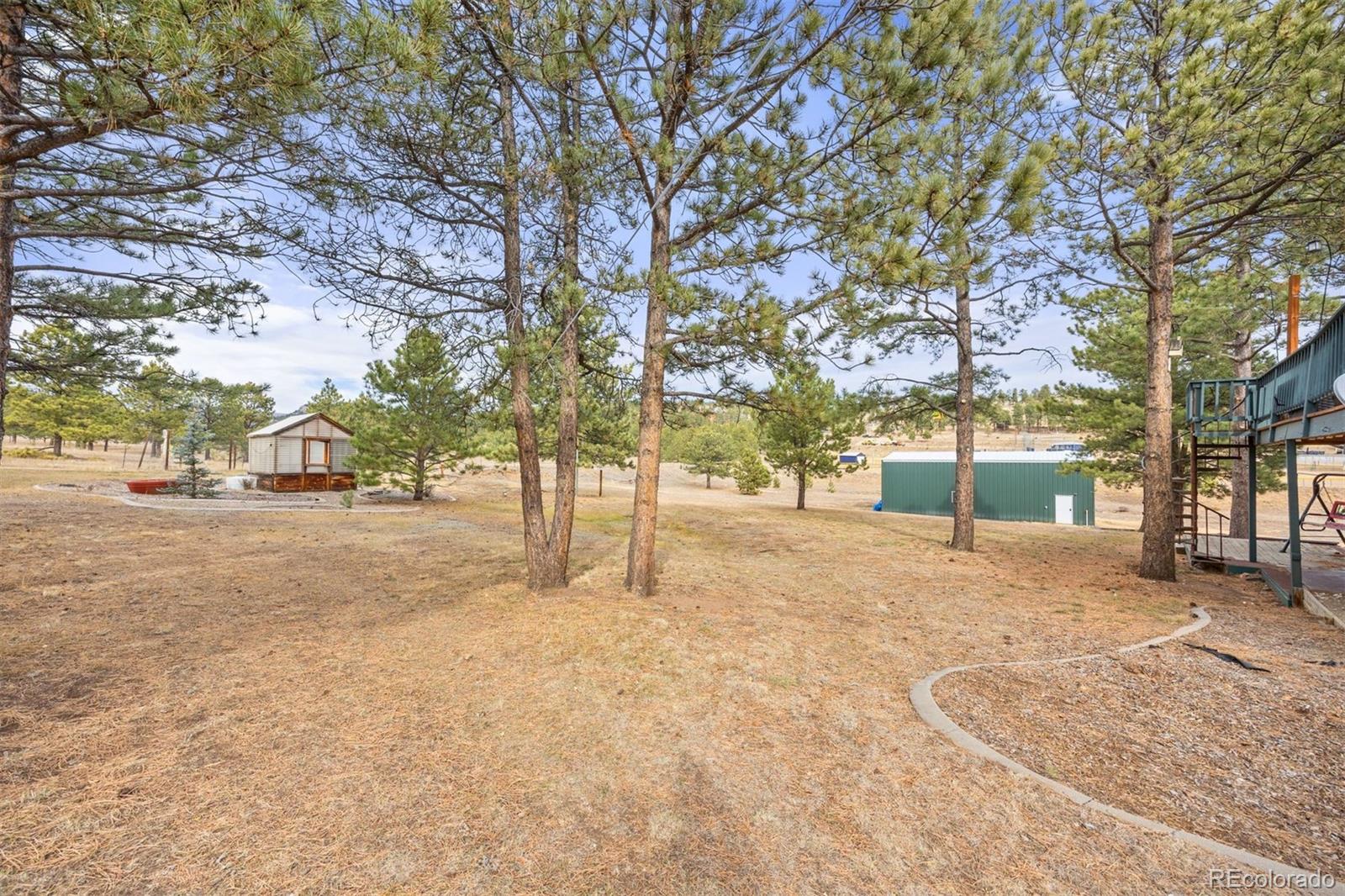 1768 Bluebird Drive Bailey, CO 80421 - Photo 37 of 50 a street view with large trees
