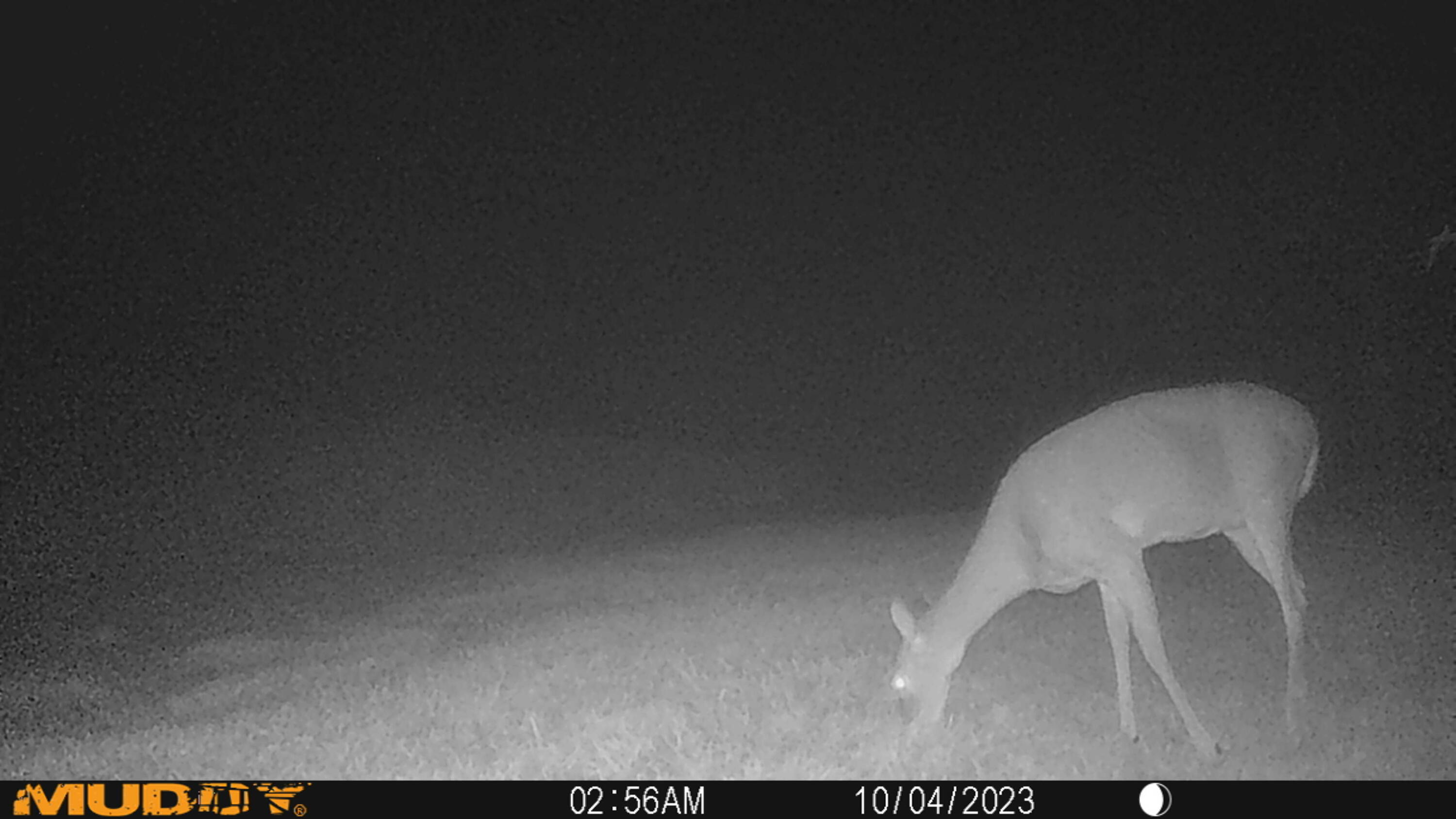 1214 Sears Road Somerset, KY 42501 - Photo 67 of 71 MUD_4388