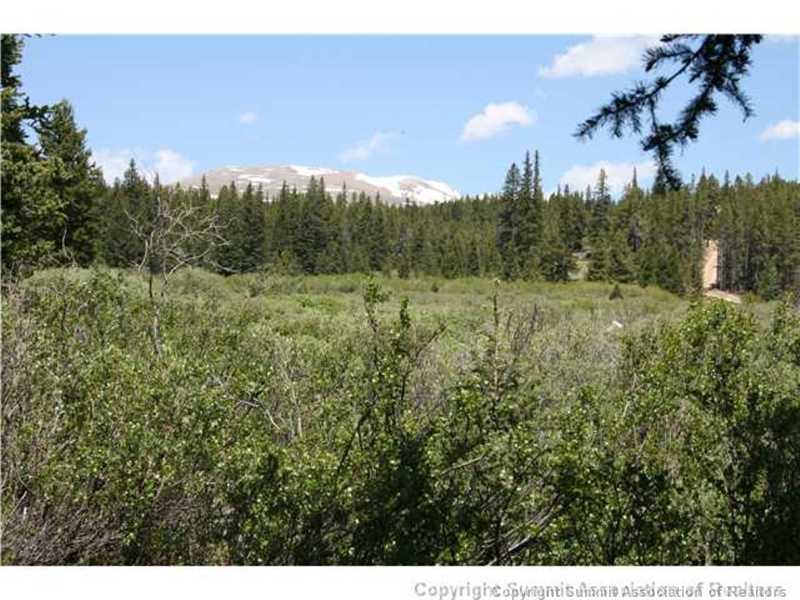 206 Pine Ridge Road Alma, CO 80420 - Photo 21 of 24 Other.
