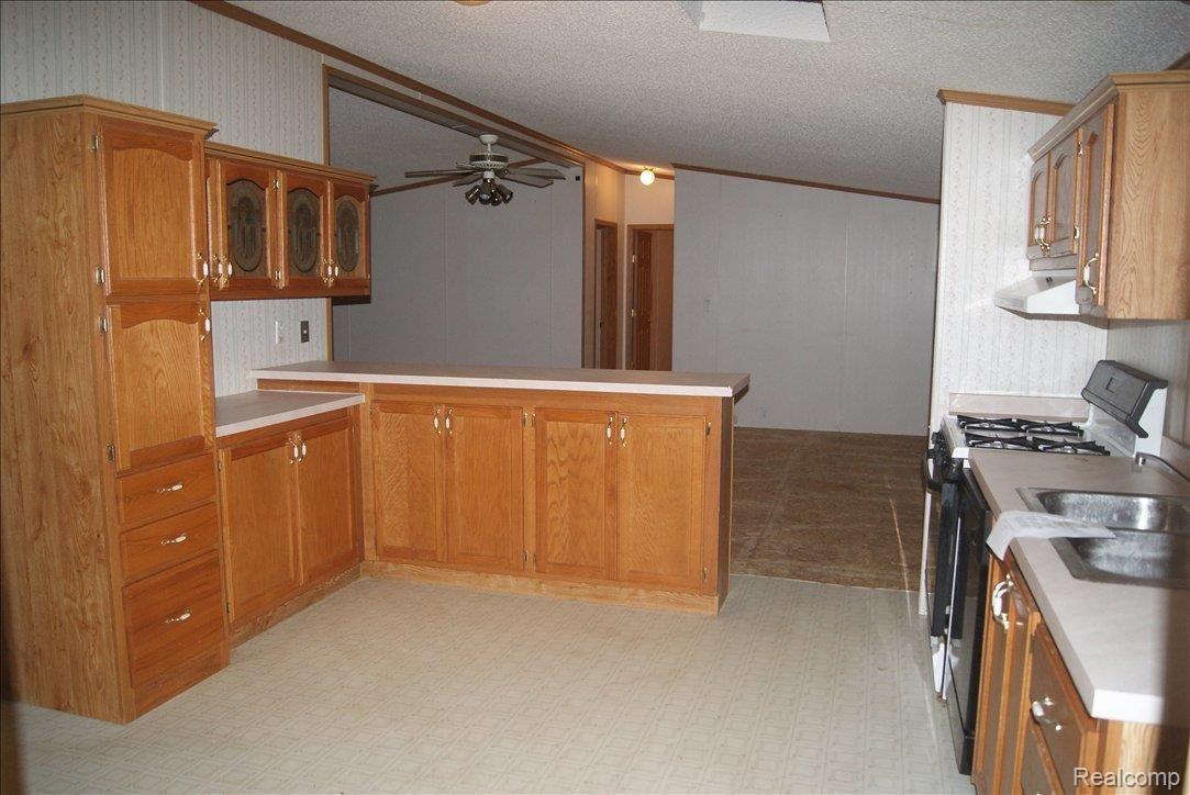 51330 Arkona Road Belleville, MI 48111 - Photo 6 of 13 KITCHEN VIEW 2