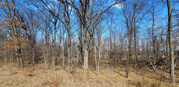 $115,000 | 514-xx 514-xx Leaf River Road, Ottertail, MN 56571
