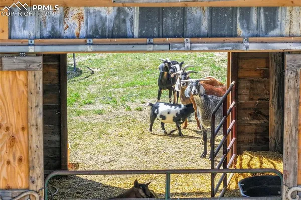 a view of an ocean and beach