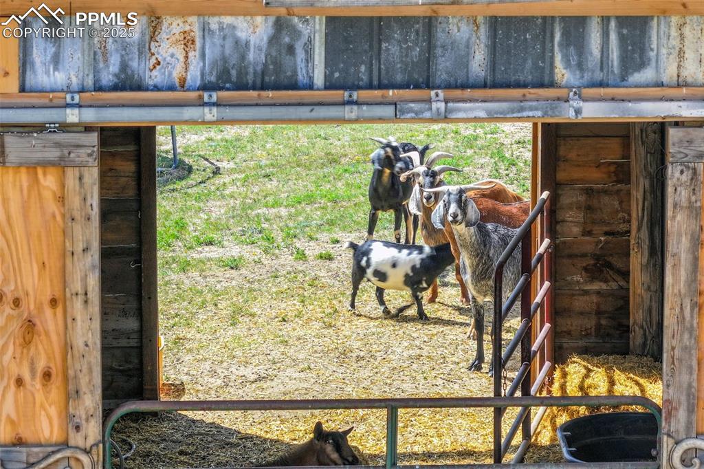 9235 Guthrie Road Calhan, CO 80808 - Photo 42 of 49 a view of a room that has a bed and a table in it