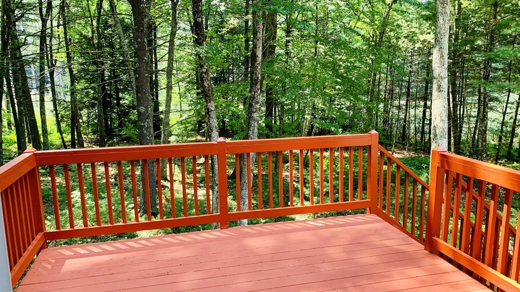14 Red Gate Road Tyngsborough, MA 01879 - Photo 11 of 32 Gallery Image 11