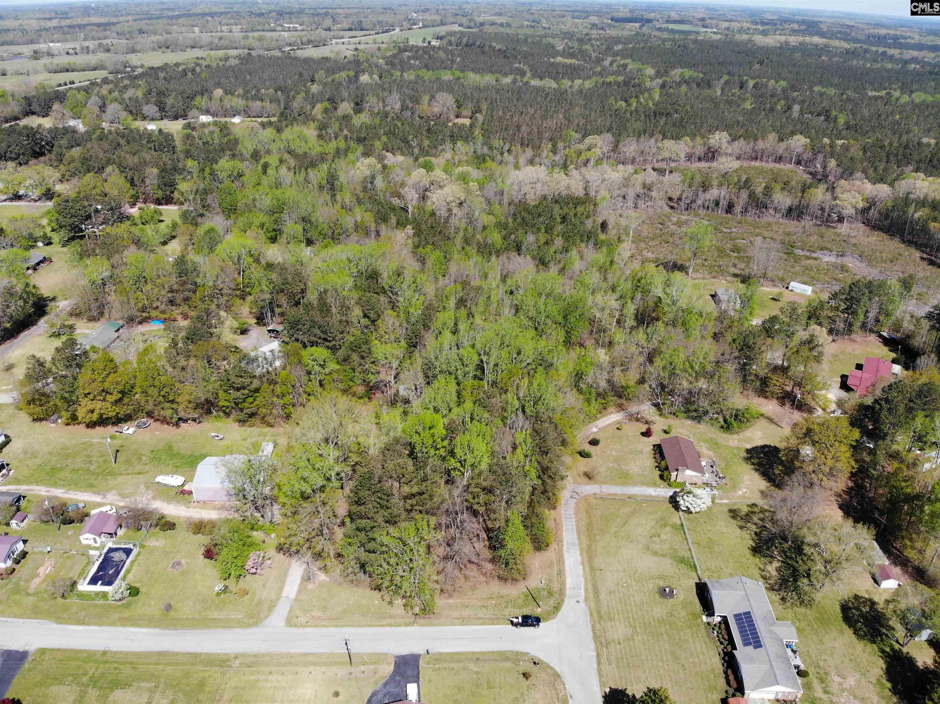 Tbd James Road Joanna, SC 29351 - Photo 13 of 82