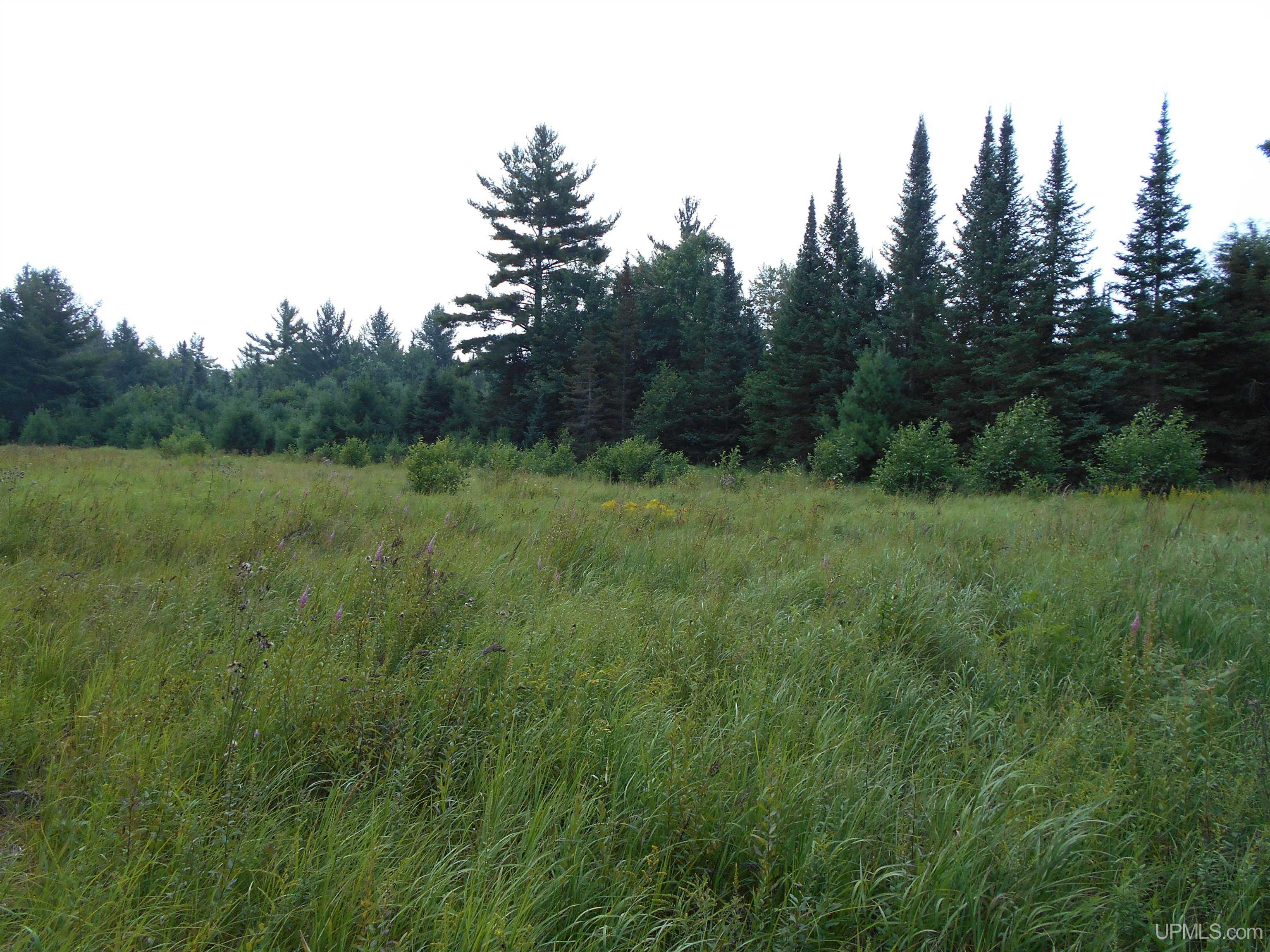 40-acres Garden Grade Road Garden, MI 49817 - Photo 49 of 51