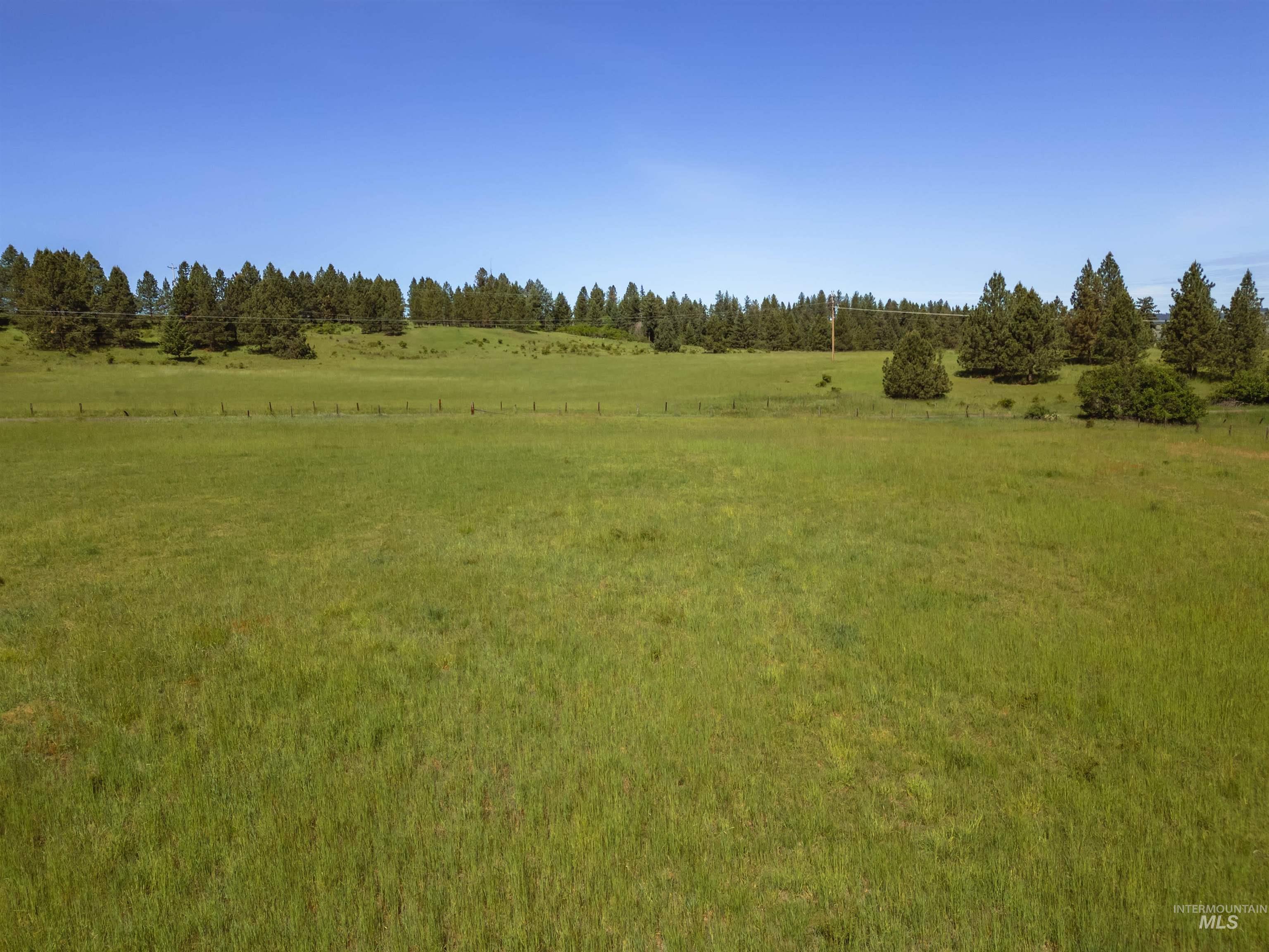 216 Ulmer Road Kooskia, ID 83539 - Photo 18 of 47