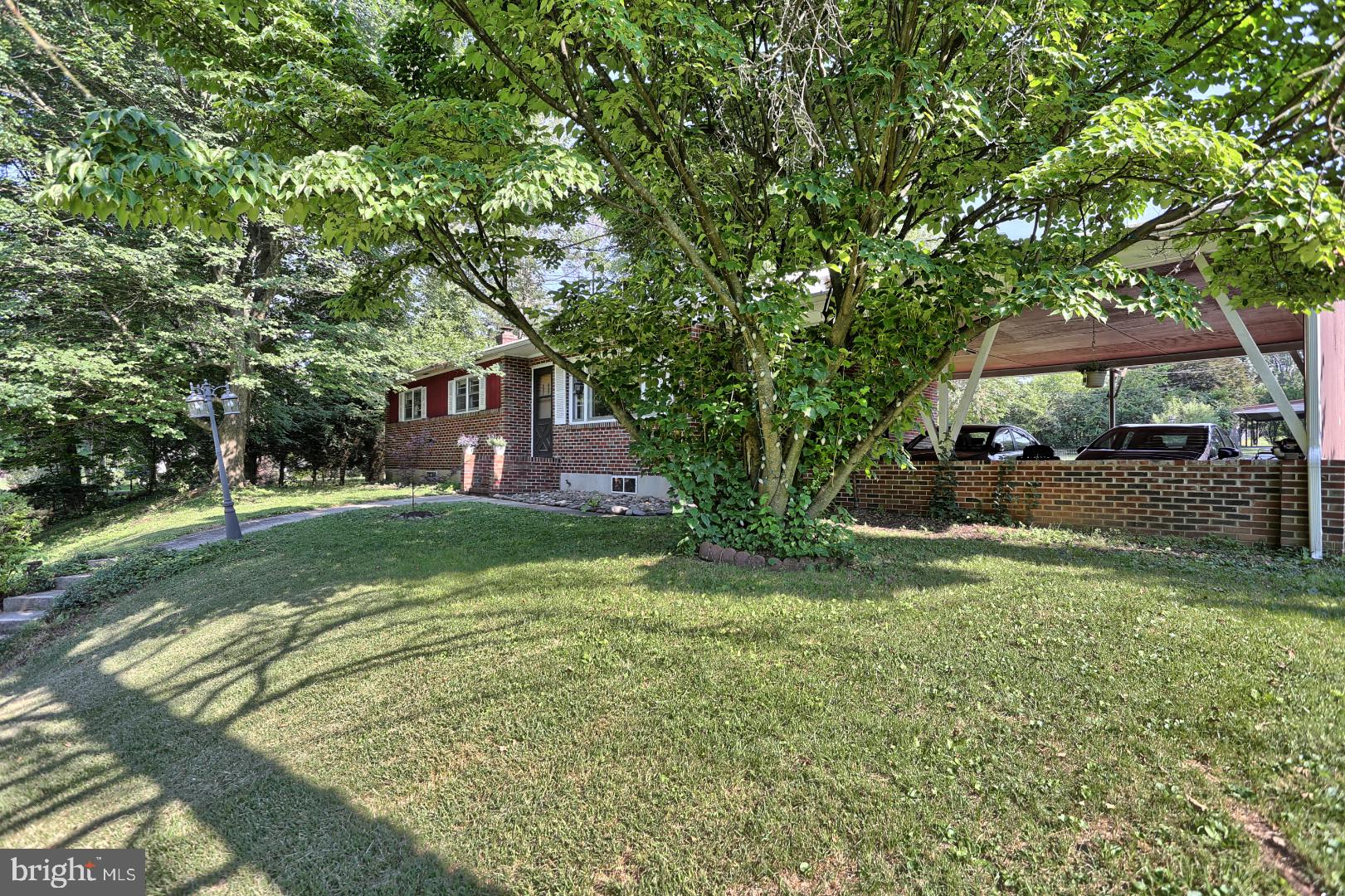 2345 River Road Reading, PA 19605 - Photo 20 of 28 a tall tree in middle of green field
