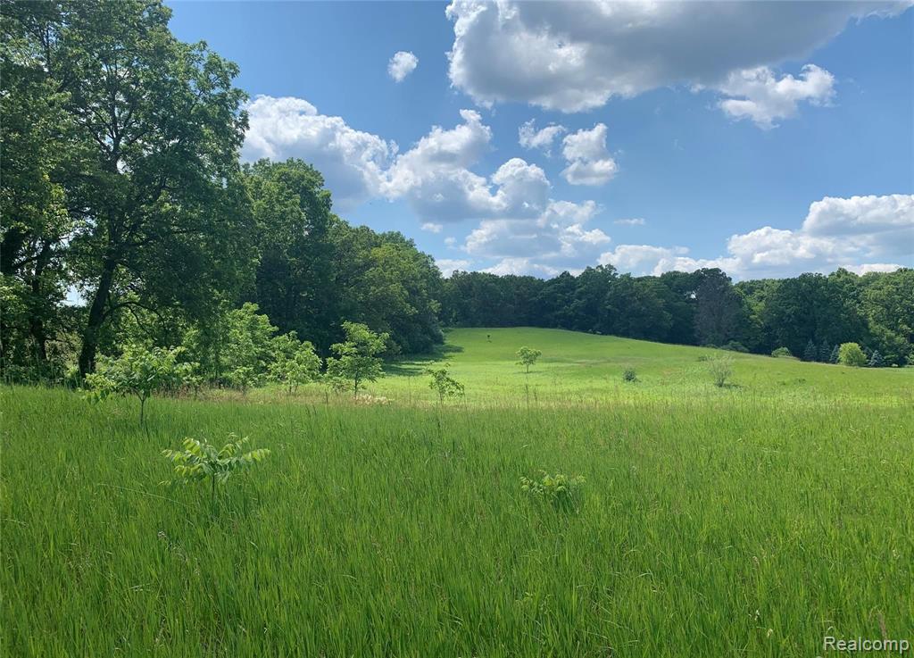 0 Colby Road Dexter, MI 48130 - Photo 1 of 10