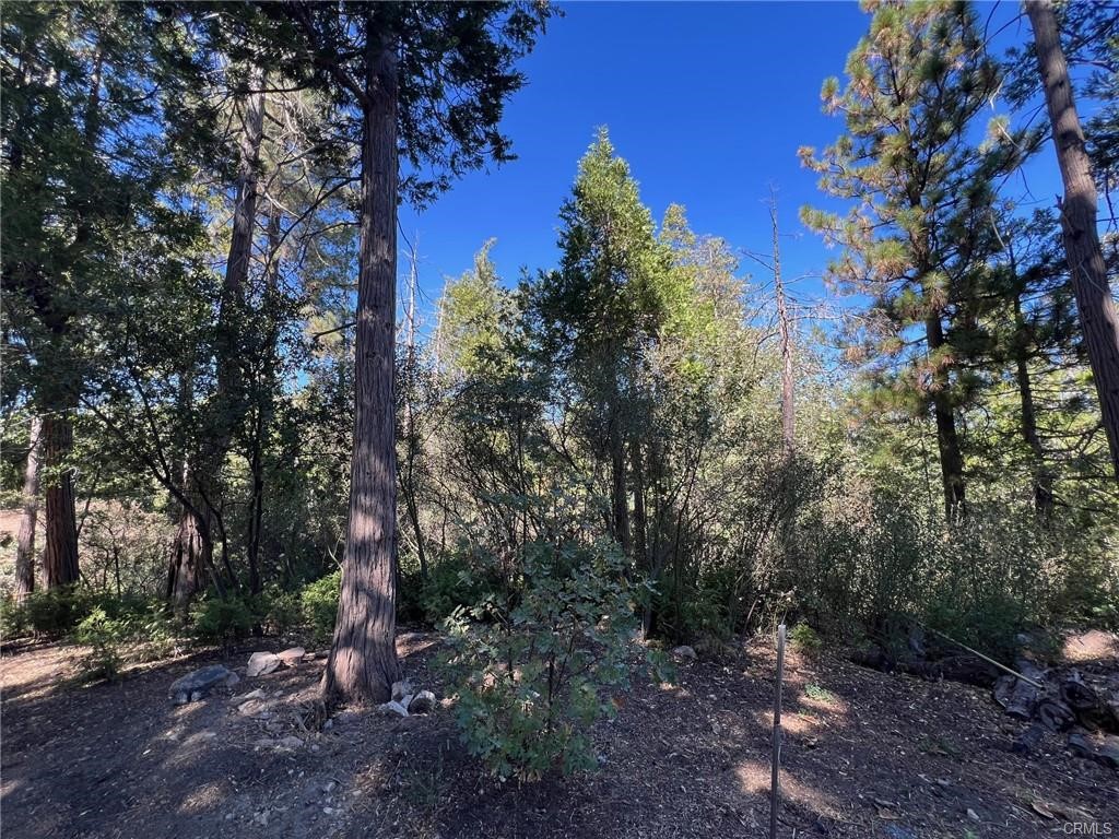 27530 North Bay Road Lake Arrowhead, CA 92352 - Photo 6 of 7