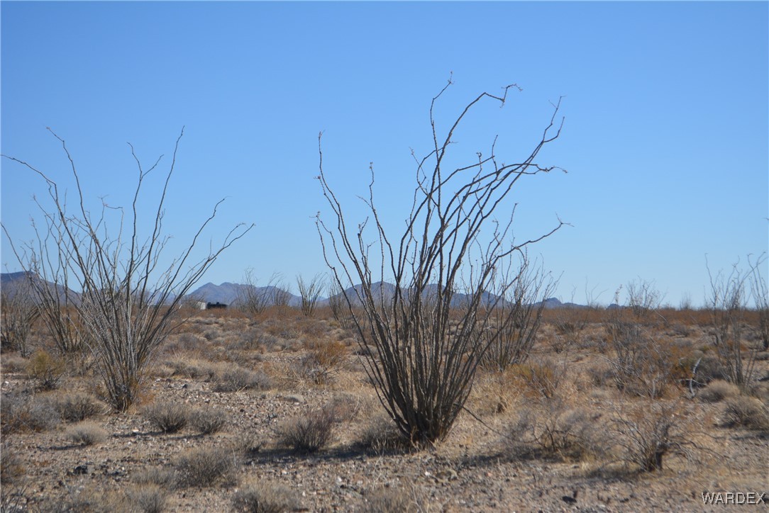 245-24-107 South Rainbow Road Yucca, AZ 86438 - Photo 16 of 91