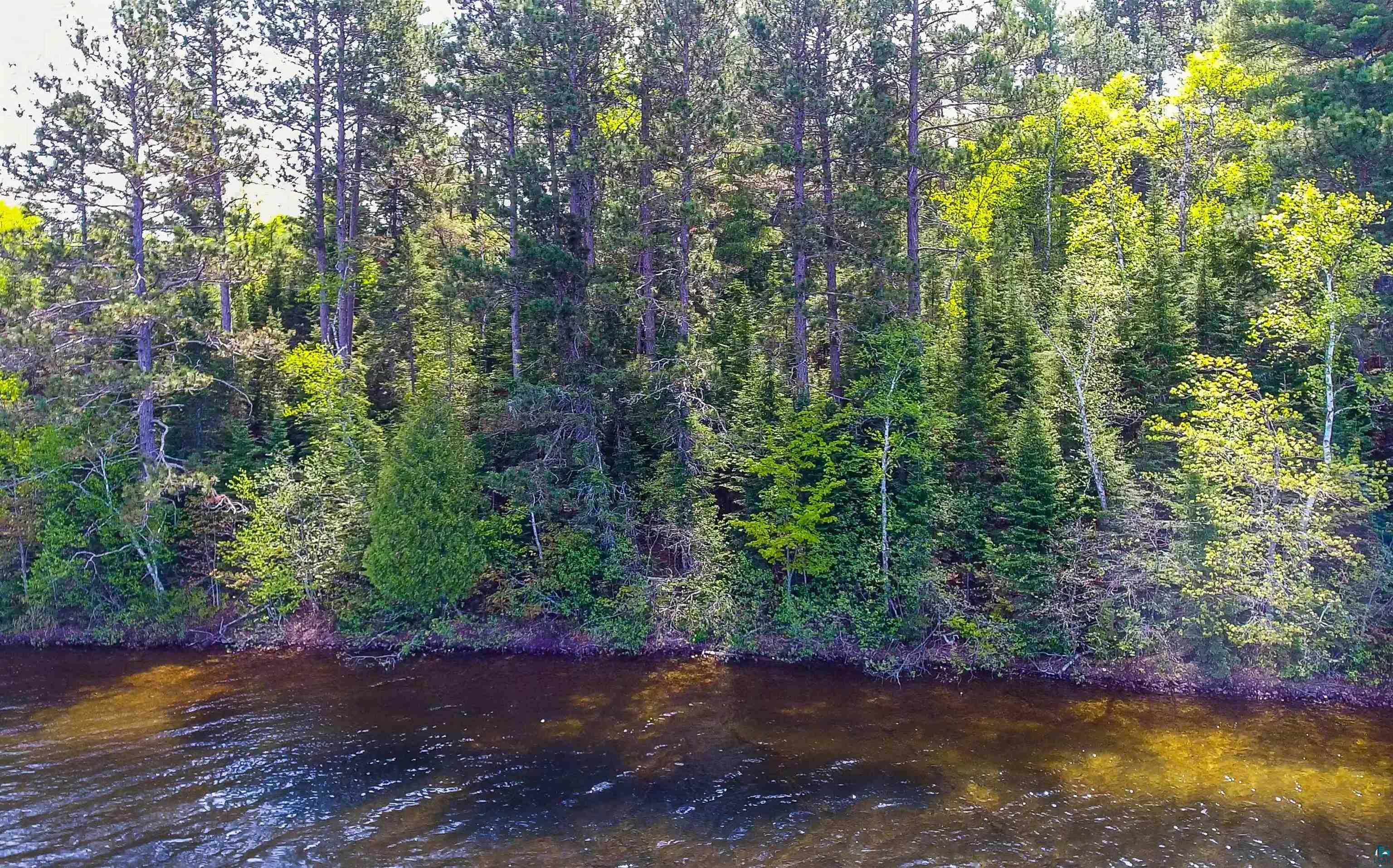 3506 Hanson Lk Road Ely, MN 55731 - Photo 3 of 26